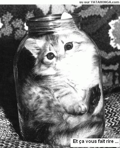CHAT