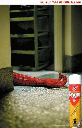 SPIDERMAN  SPIDERMAN  SPIDERMAN
